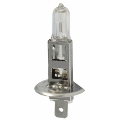Bulb 12 V 55 W H 1 (Set of 5 )