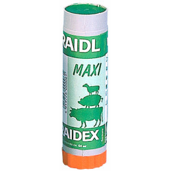 Crayon marqueur RAIDEX couleur verte (Lot de 5 )