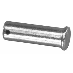 Asse mobile Grillo Ø 16 x 55 adattabile Ford (Set di 5)