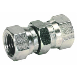 1/4" BSP-Adapter mit gerader Buchse auf Buchse (2er-Satz)