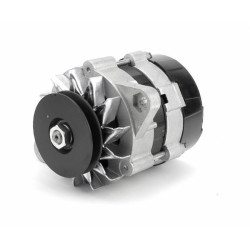 ANPASSUNGSFÄHIGER 12-VOLT-GENERATOR MIT 33 AMPERE UND REGLER