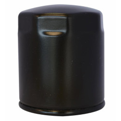 ADAPTABLE DIESEL FUEL FILTER CARTRIDGE LOMBARDINI RUGGERINI