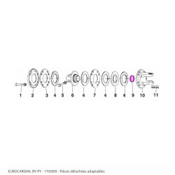 Eurocardan BY-PY 1705009...