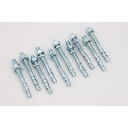 Sachet de 10 Goujons...