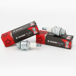 Lot de 2 bougies Champion J17LM