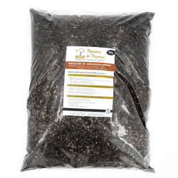 Inoculum de réensemencement 10L