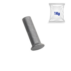 Lot de 1kg de rivets fraisées tête plate Ø 5,2 x22mm