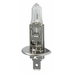 Ampoule 12V 55W H1 (P14,5S)