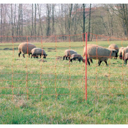 Floknetz für Schafe 1,08X50...